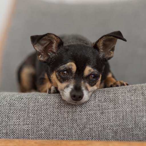 JethroMarshall's profile picture. Commercial art.