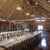 Kinfolk Farm Venue (@kinfolkfarm) Twitter profile photo Kinfolk Farm Venue (@kinfolkfarm) Twitter profile photo
