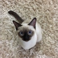 Koray Coşkun (@jero_1) Twitter profile photo