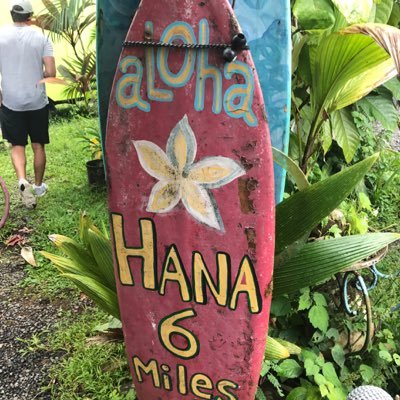 AJLsProductions's profile picture. Short films and adventures