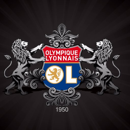 brun,1m78,62k,fais du foot et supporte l'olympique lyonnais