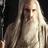 the_White_Hand's profile image