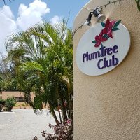 Plum Tree Club(@PlumTreeClub) 's Twitter Profile Photo