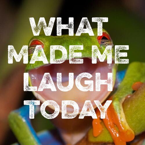 What has made you laugh? | NOT YOUR AVERAGE COMEDIC RELIEF SITE | Part of @KyloMediaOutlet | Follow us 🙊