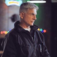 Leroy Jethro Gibbs (@sniperljgibbs) 's Twitter Profile