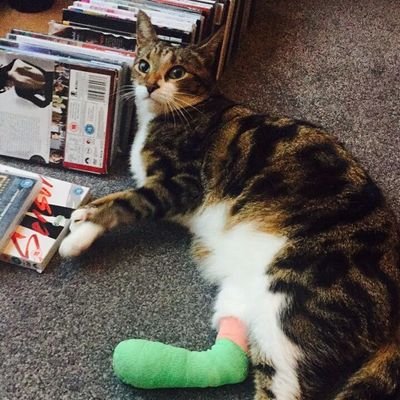 Phillips_a_m's profile picture. 