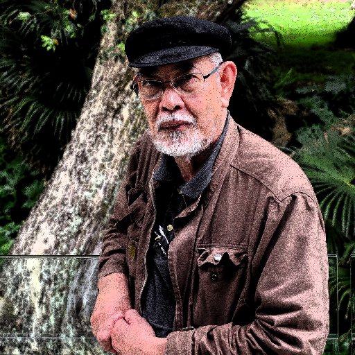 jesumjr's profile picture. Retired communicator, now enjoying travel, photography, 8 grandchildren, and doing community work, some writing, some commenting, and some lecture now and then.