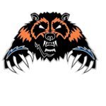 nshs_19's profile picture. follow for updates, information, reminders and polls on upcoming events !! There are #nolimits for North Stafford High School c/o ‘19 🧡💙