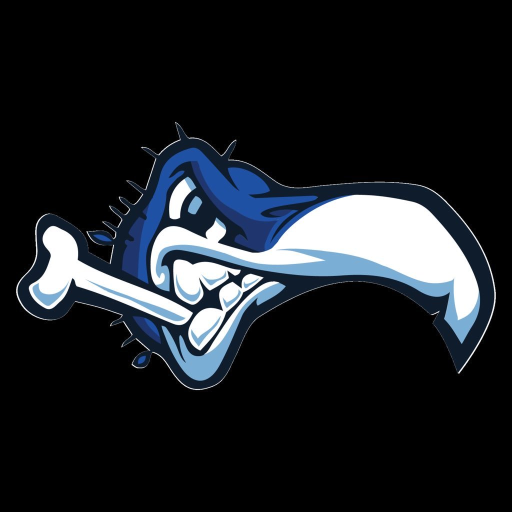 South Lane Buzzards are a Semi-Pro Football team based out of Lane County, Oregon.