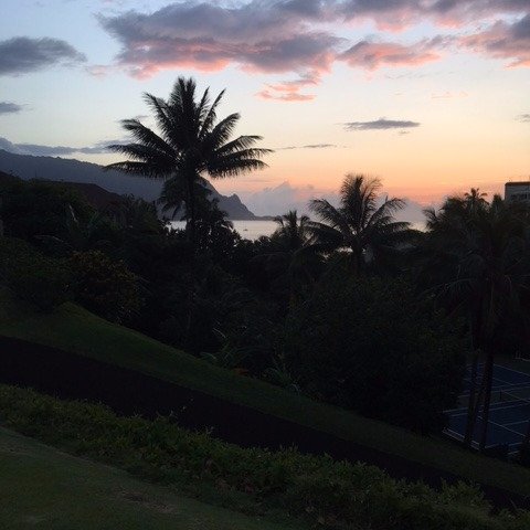 Join us on this journey to build the Hanalei Brewing Company on Kauai. We are currently testing new beer & working on beginning our business. Coming Soon!
