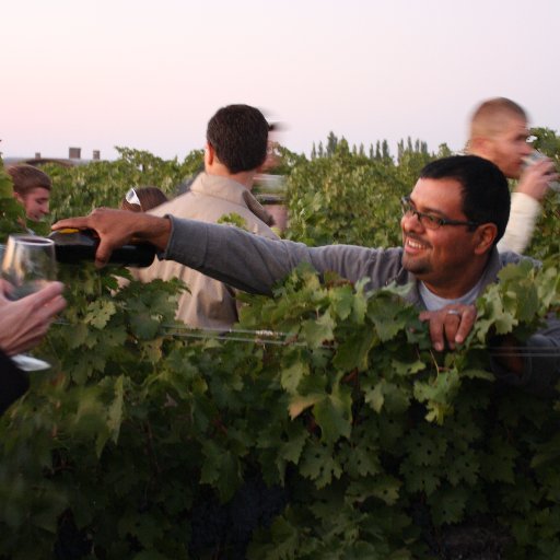 Cave B Estate Wineries first vintage was in 2000. We are all estate with over 17 varieties of grapes grown on over 100 acres. Award winning wines. Come try!