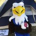 Bert The Hawk (@bert_the_hawk) Twitter profile photo Bert The Hawk (@bert_the_hawk) Twitter profile photo