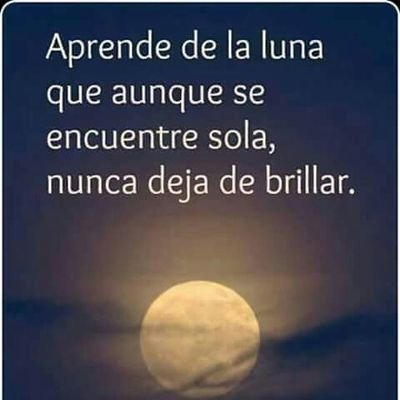 IViromo's profile picture. 