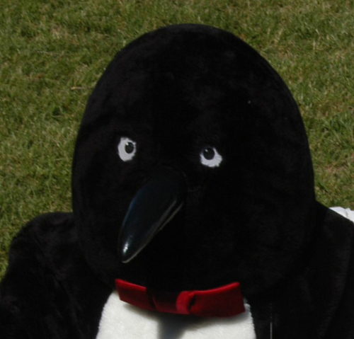 MCVPenguin's profile picture. I'm a penguin.  I hang out in the vineyard eating grapes and fish with the Juan-Maker.