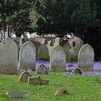 Gardeners @ St Peter's (@gasp_croydon) 's Twitter Profile