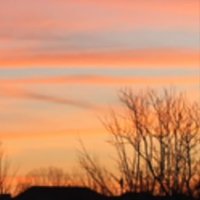 ♡ (@cottoncandykena) 's Twitter Profile