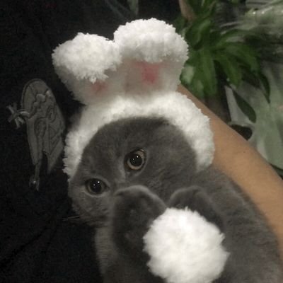 mingyiisme's profile picture. 