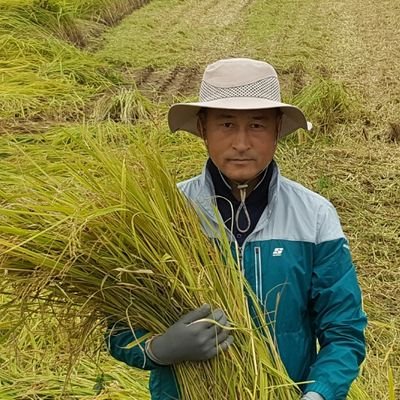 충북 진천에서 포도와 쌀을 재배하고있습니다 많이 애용해 주세요