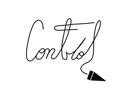 Control is here for the 661 and beyond, join our scene and help create it. There's always been a lack of culture and music in Santa Clarita and the valley, let'