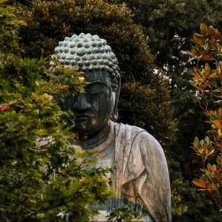 voyage_a_photo's profile picture. Compte twitter du blog Du voyage à la photo. Photographe Amateur. #photographer #Photo #Voyage #Blog
https://t.co/427NCbDZxu