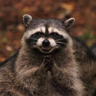 Maxさんのプロフィール画像
