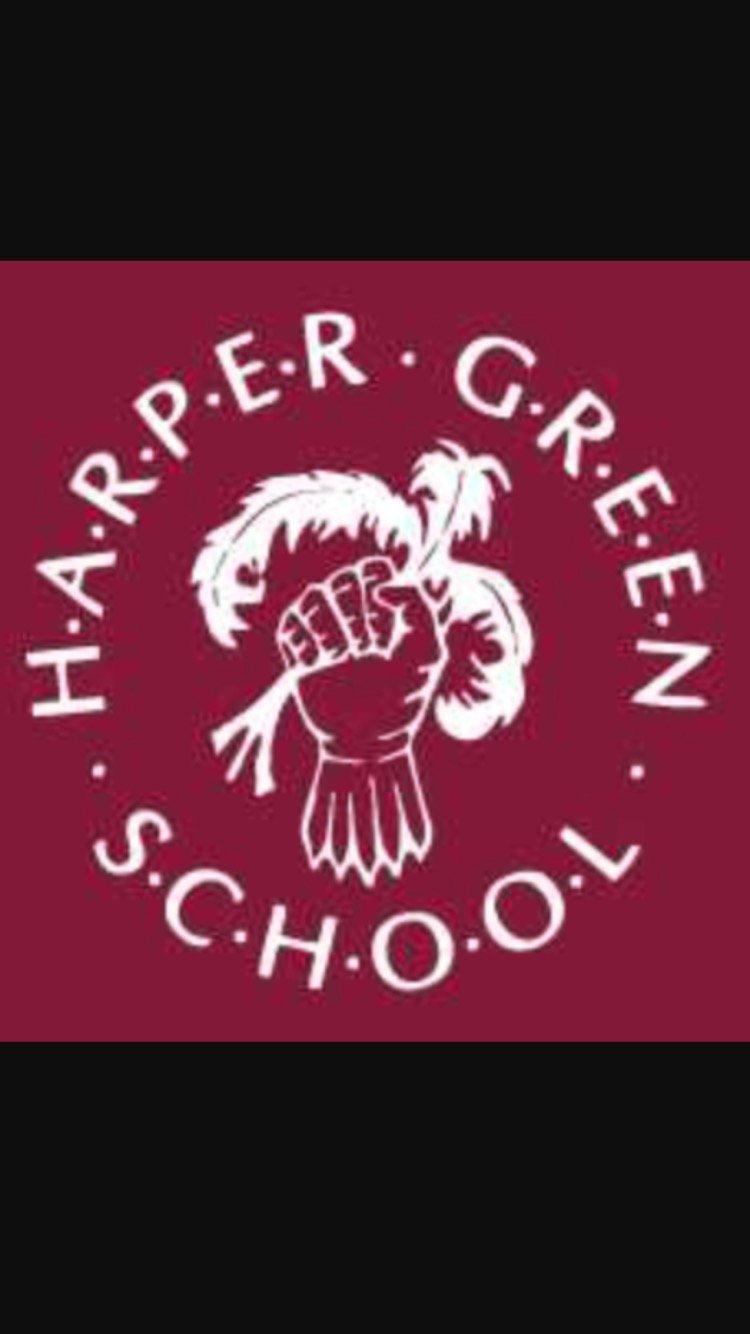 Year 9 Harper Green