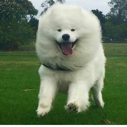 anthi_pap's profile picture. Material Scientist, MBA-Total Quality Management