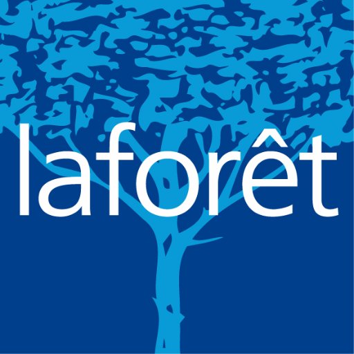 laforet_st's profile picture. 