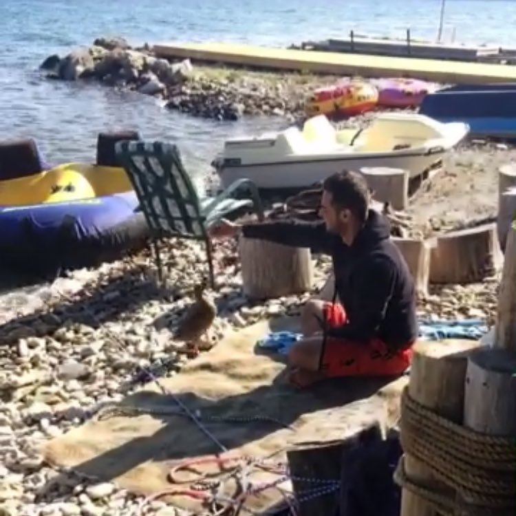 Ryan_maisine's profile picture. 