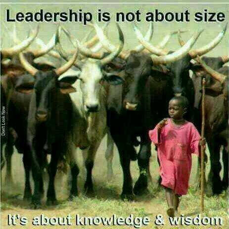 sam1_semu's profile picture. Peace building is my business ,project manager ZRGT