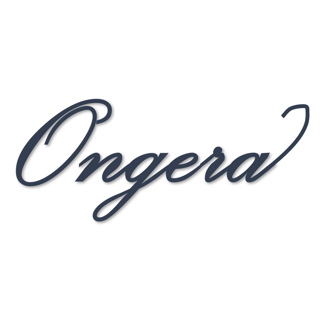 TeamOngera's profile picture. 