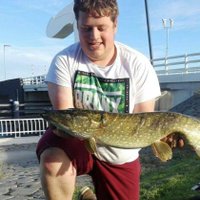 pietje (@pieterjanrenes2) 's Twitter Profile
