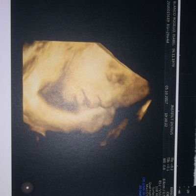 Mauro81's profile picture. 