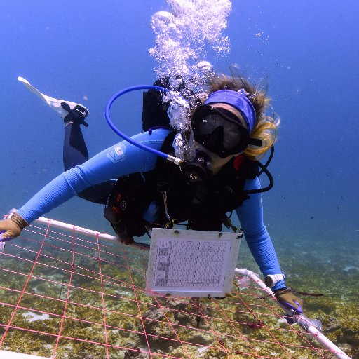 Tietjenk's profile picture. Lab Manager & Kiritimati Project Manager - Baum Lab at the Uni of Victoria, Canada, Scuba Diver, Marine Biologist, Amateur Photographer, Traveler, she/her