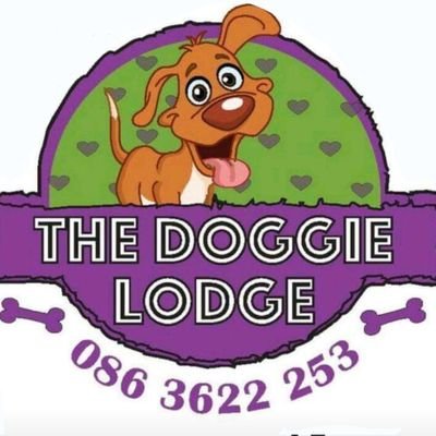 Doggie Daycare - Happy, Healthy Socialised Dogs. Follow us for funny dog pictures and pet advice