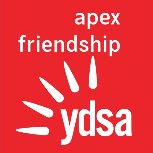 Peace, Friendship, and Solidarity. The Apex Friendship High School chapter of @YDSA_