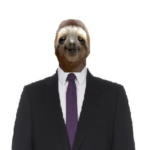 Just a nice Sloth, doing Sloth things, you know. Comments on politics, football and stupidity. 
He/him 
Anime and PnP lover

#BLM#FCKAFD#FCKNZS#
#SlawaUkraini