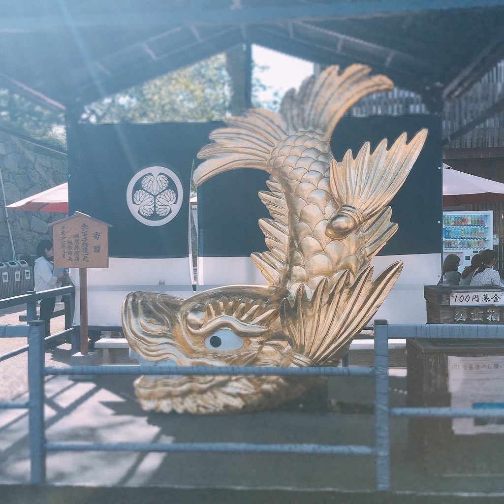 🔁RP非表示推奨💦/ramen🍜(時間差投稿)/chunichi dragons🐉/nagoya grampus🔴🟡/boatrace🚤/horseracing🏇/Mr.Children🎧💕etc🍀日常の呟き・・・いつもいいね&リポストしてくださる方々、ありがとうございます🙇♂️🙇♀️✨