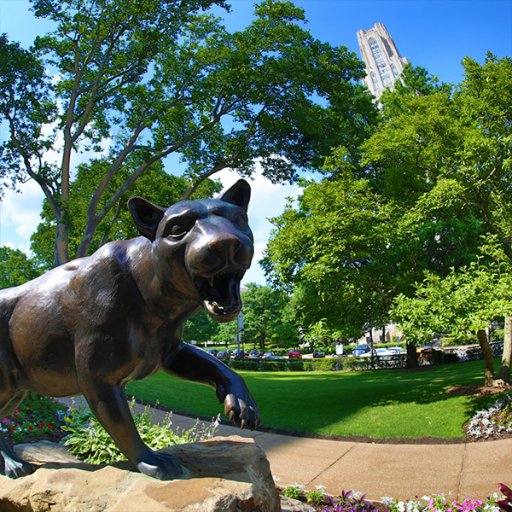 The official account of the University of Pittsburgh, Office of the Provost - Graduate Studies. #H2P