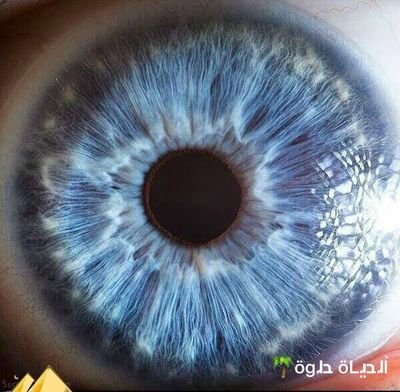 nnn_nedal's profile picture. جاهز ومستعد لكل شي