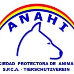 ANAHI, es un pequeño grupo de personas, todos voluntarios, que dedican el tiempo que pueden al cuidado y atención de los animales abandonados y/o maltratados.