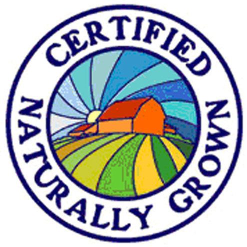 Matthew_Noonan's profile picture. Interesting Things