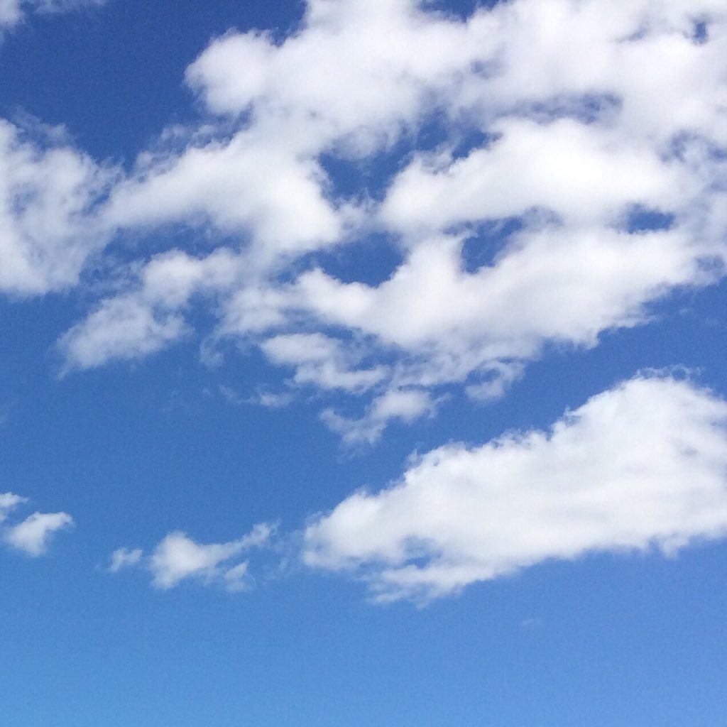 nipote_soen's profile picture. ｿｴﾝです/ニコニコ関連 好きなものをマイペースに応援(大抵しまじいさんと人狼chの話)