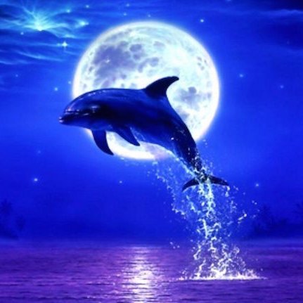 YennyKma's profile picture. 