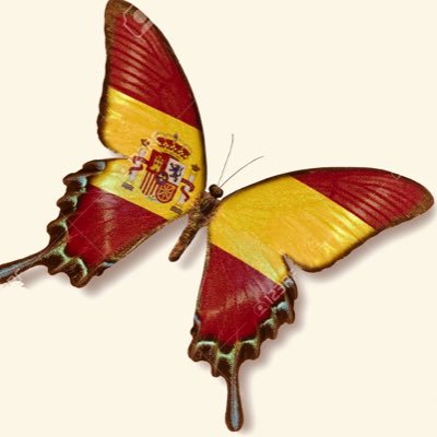 pedregalfreire's profile picture. Española, por la gracia de Dios.