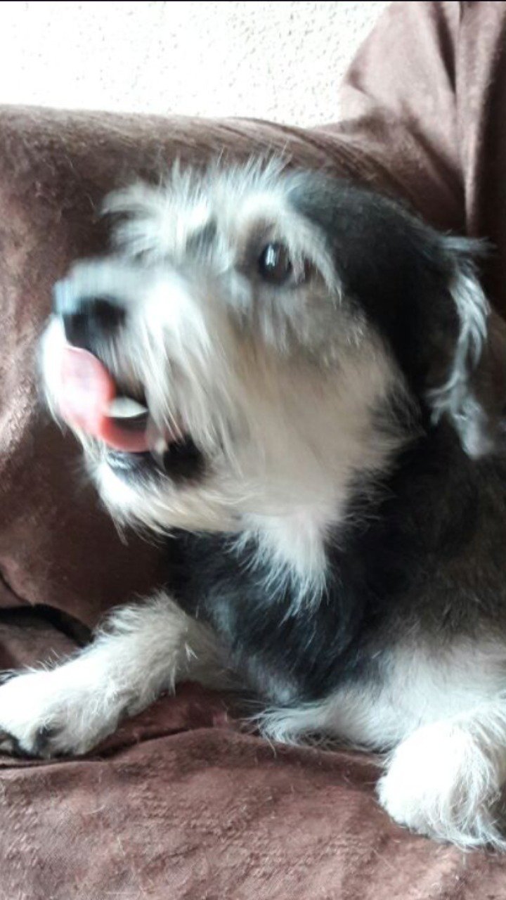 henodi's profile picture. 