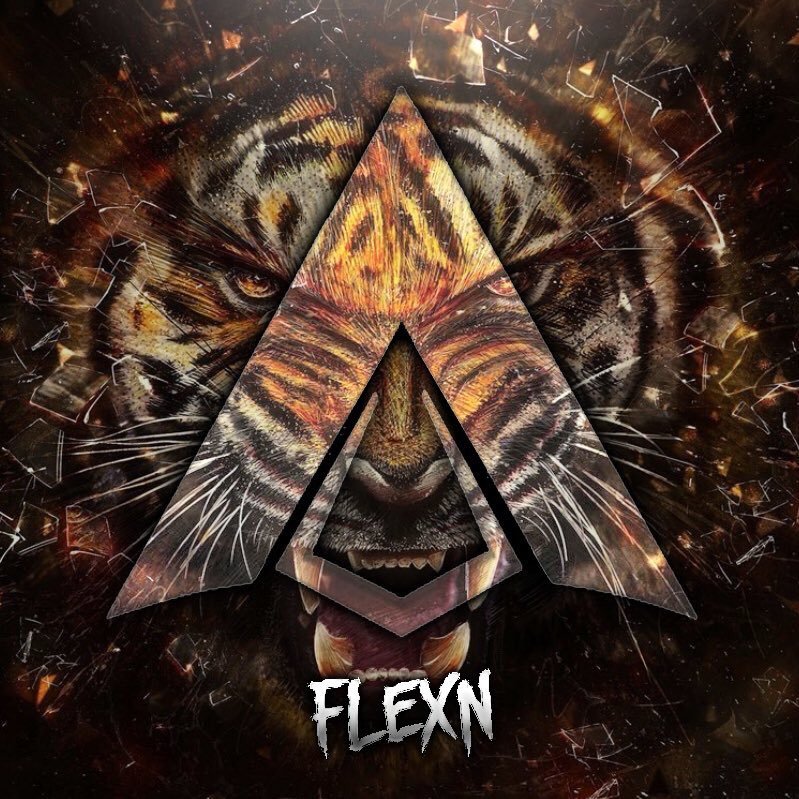 | PS3 & PS4 Sniper/Content Creator | YT - Its FlexN | Afix Alliance |