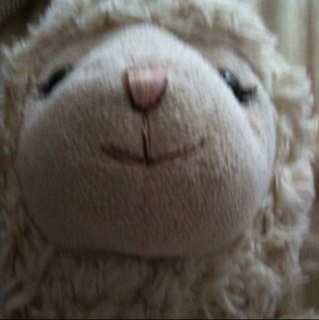 MSlinger's profile picture. 