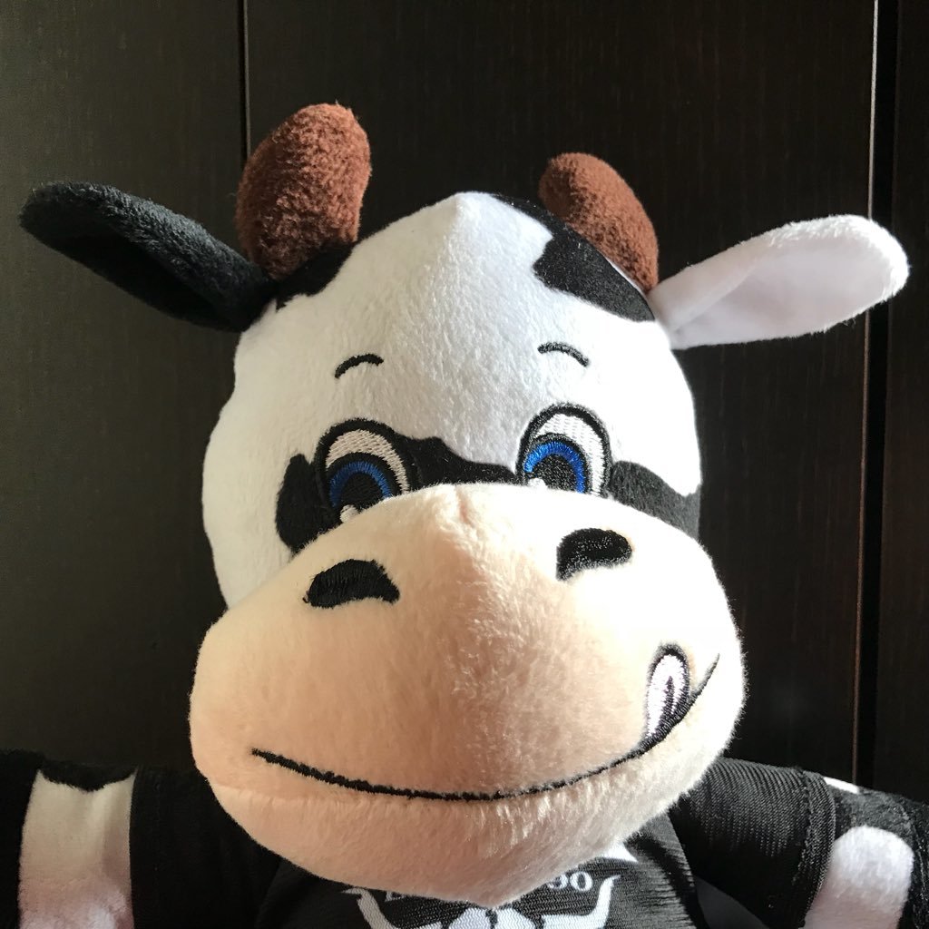 emicom6o6's profile picture. Tout fonctionne si vous le souhaitez. Fais à mon rythme. J'aime la musique, j'aime les animaux, j'aime la nature.