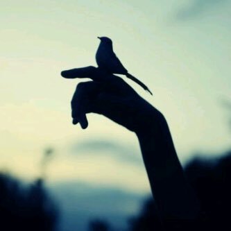 sd__200's profile picture. 